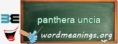 WordMeaning blackboard for panthera uncia